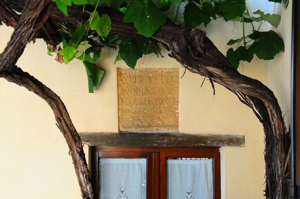 B&B Camere La Vite Пиенца Екстериор снимка