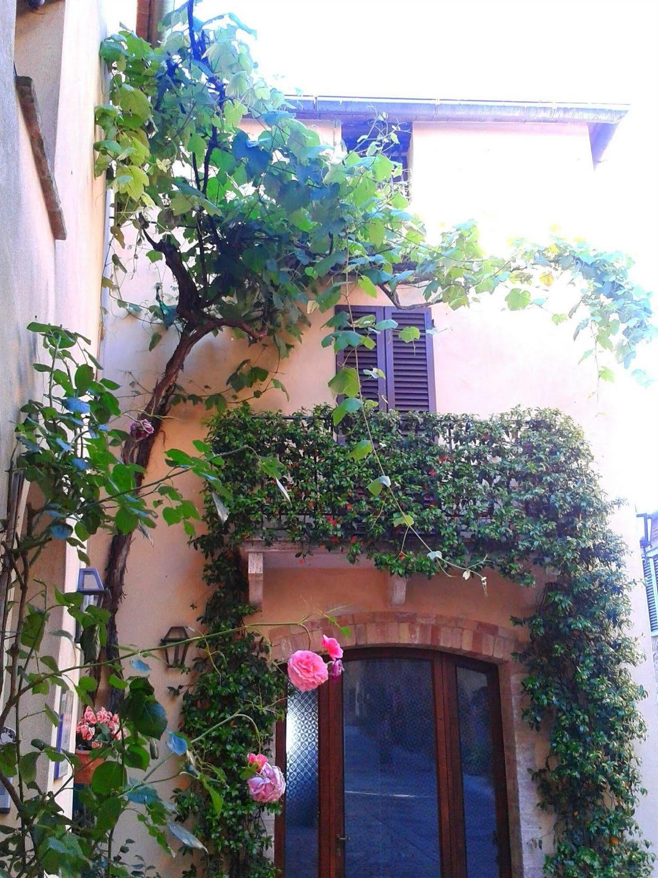 B&B Camere La Vite Пиенца Екстериор снимка